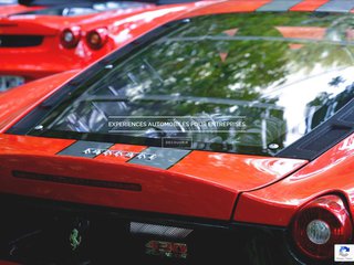 Détails : Ce qu'il faut savoir du séminaire automobile entreprise